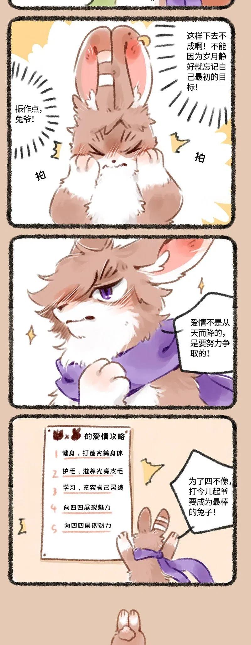 167 兔爷的初心1
