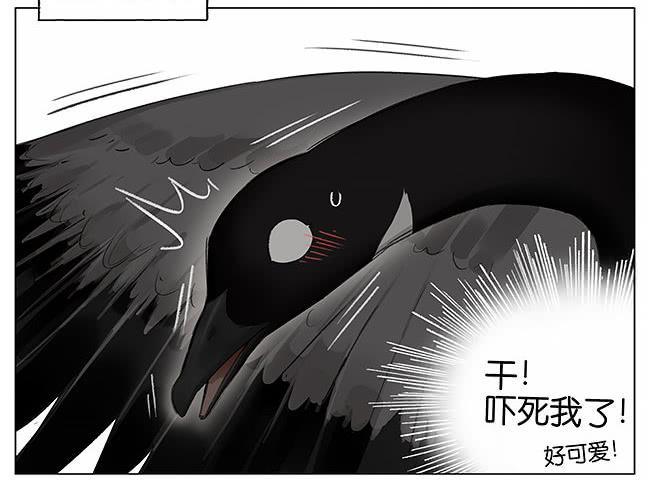 南方的鸟和北方的鸟漫画,卷纸芯。4图