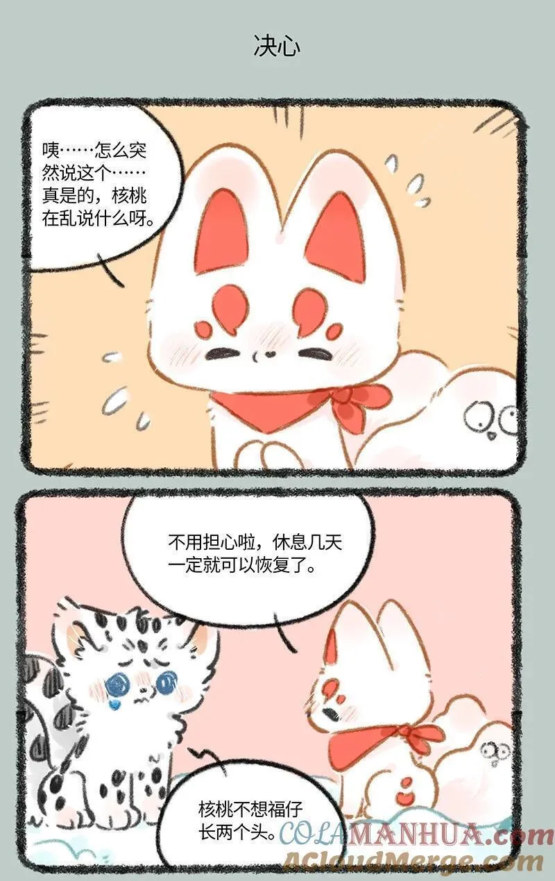 816 核桃的决心4