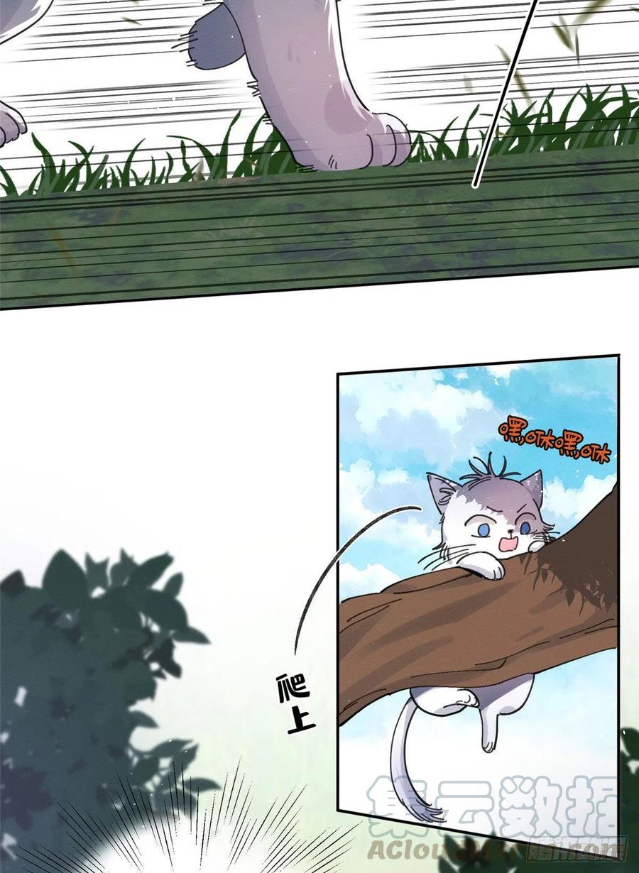 今天也要努力当只猫漫画,第16话 你哭了？3图