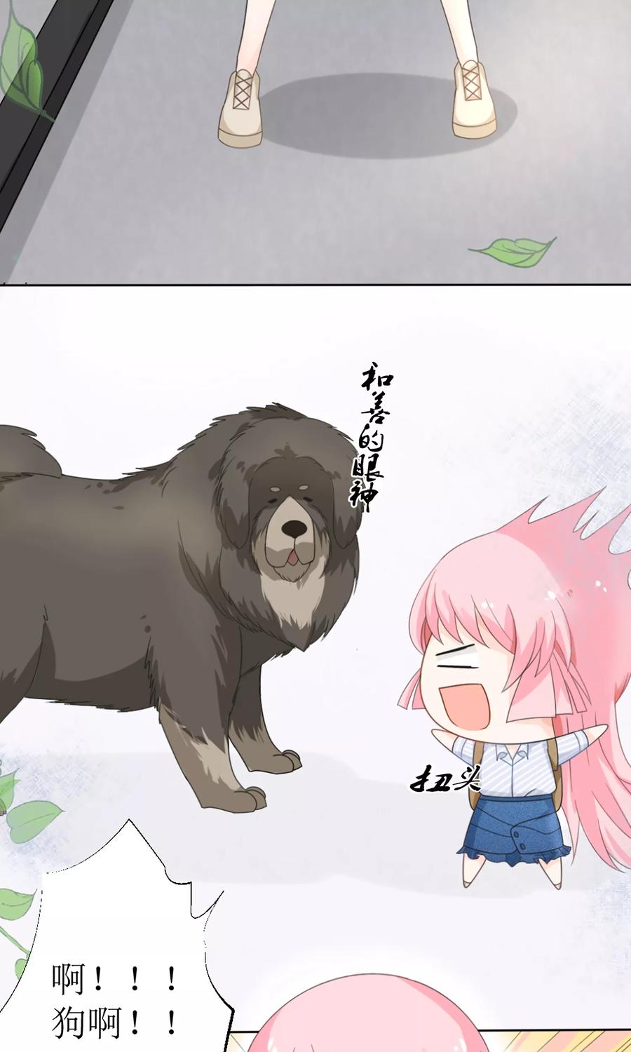 狼性总裁的魅惑新娘~漫画,第15话 被狗毁掉的美好生活！3图