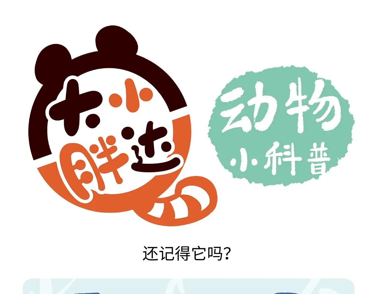 胖达x胖达漫画,第190话4图