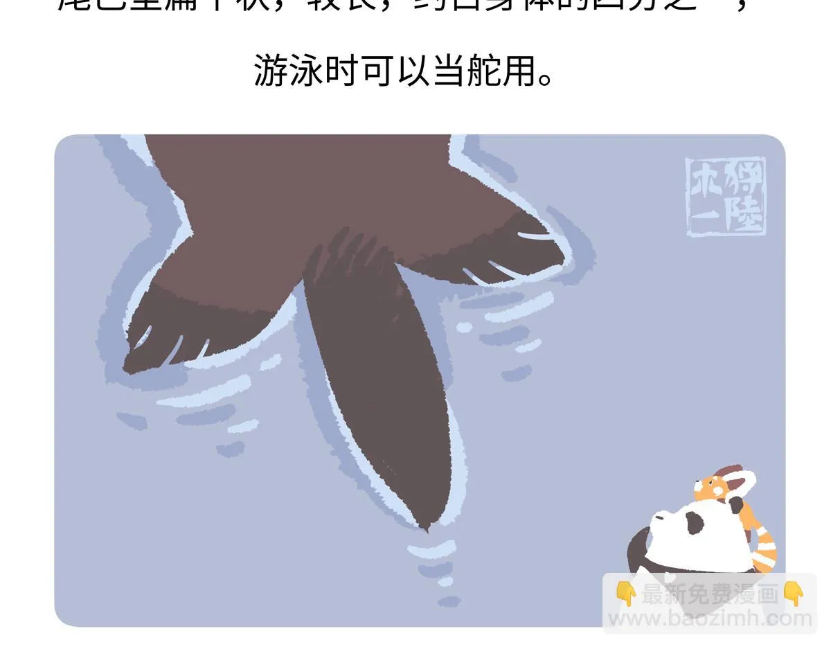 胖达x胖达漫画,第204话5图