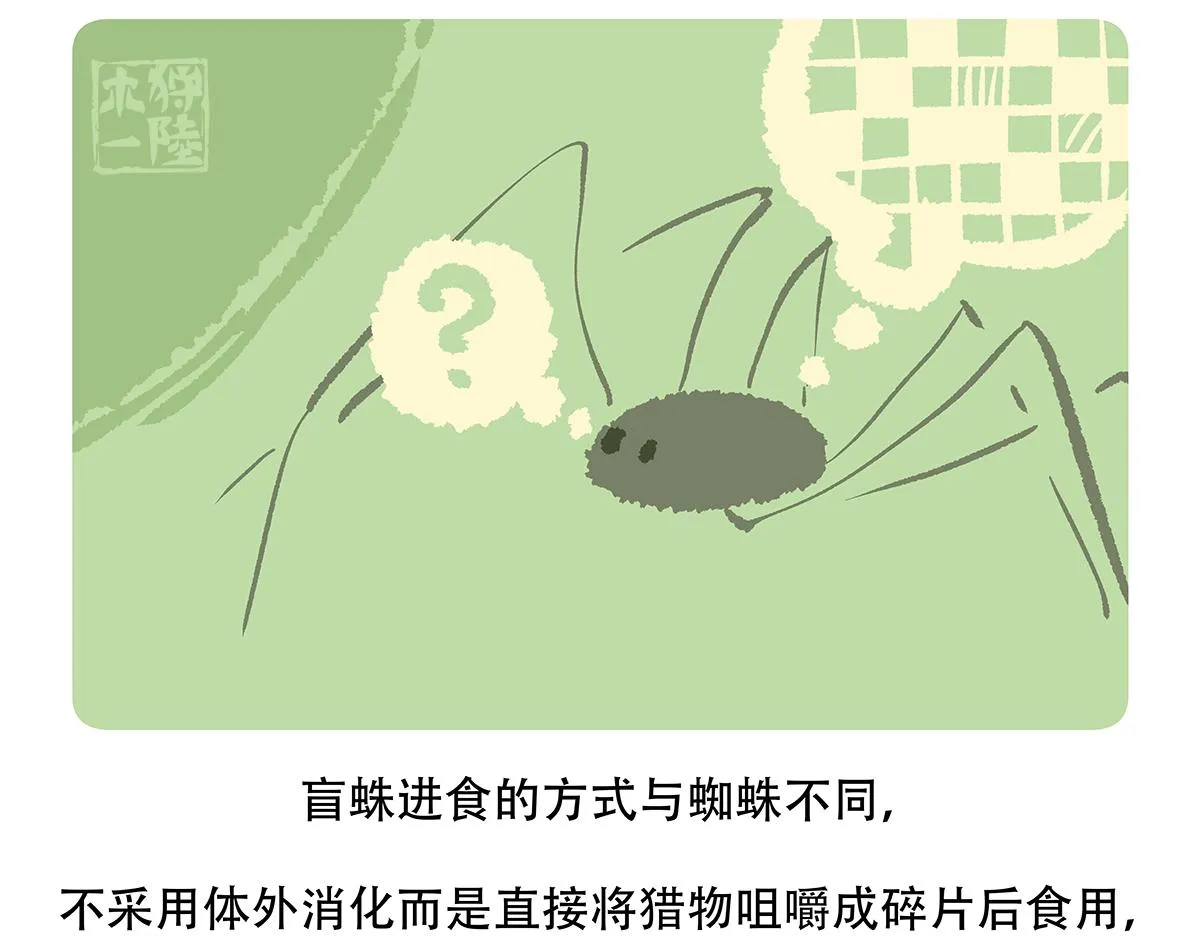胖达x胖达漫画,第129话3图