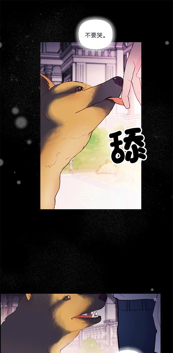 恶魔之舞漫画,第70话1图