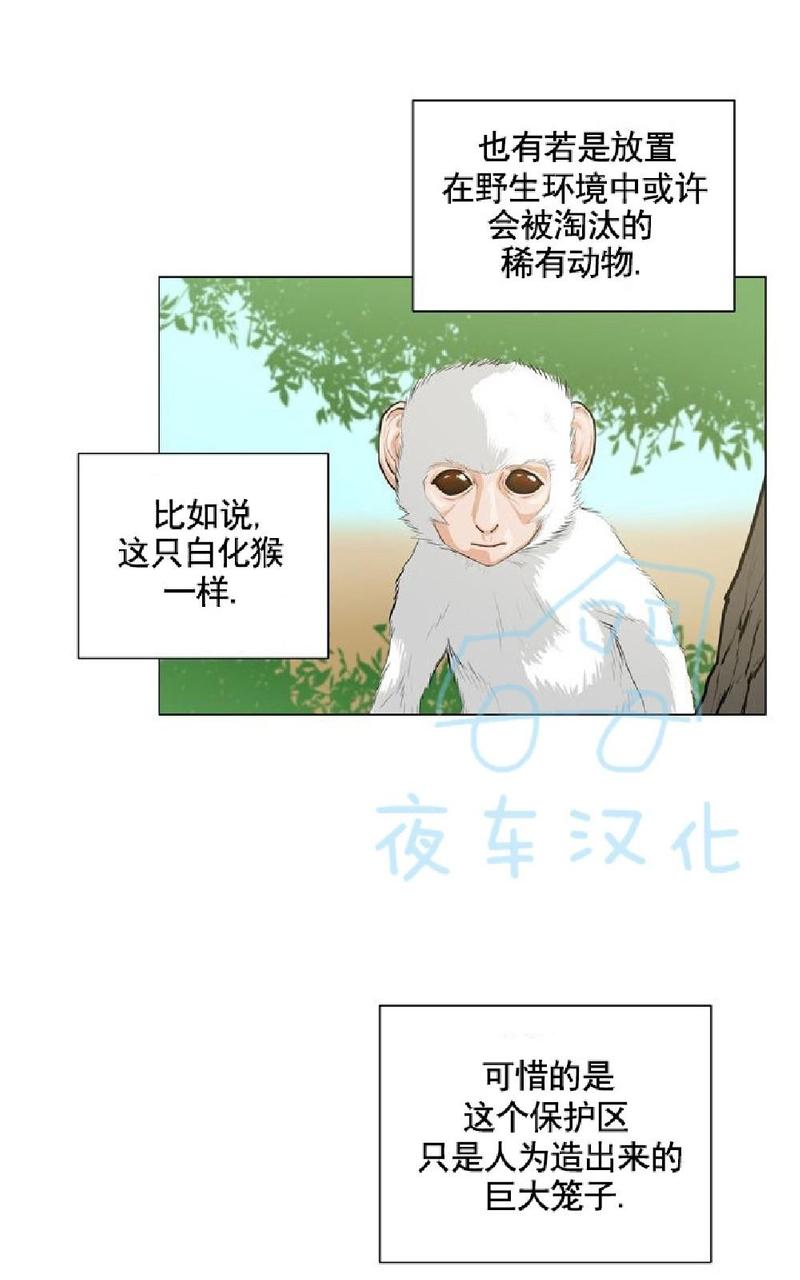 动物王国漫画,第6话4图
