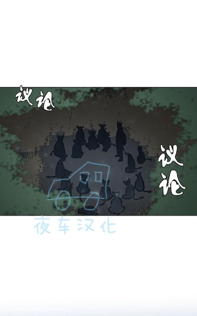 动物王国漫画,第9话3图