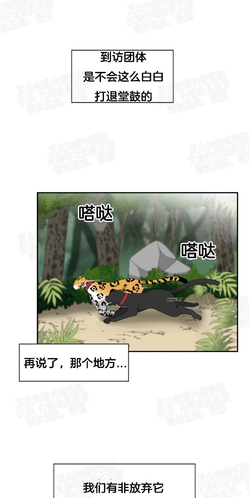 动物王国漫画,第3话4图