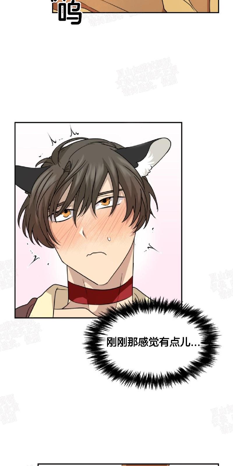 动物王国漫画,第18话5图
