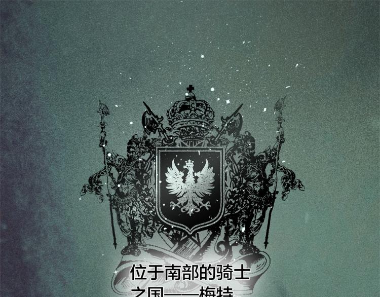 金发精灵师之天才的烦恼漫画,第2话 好清秀的小哥哥4图