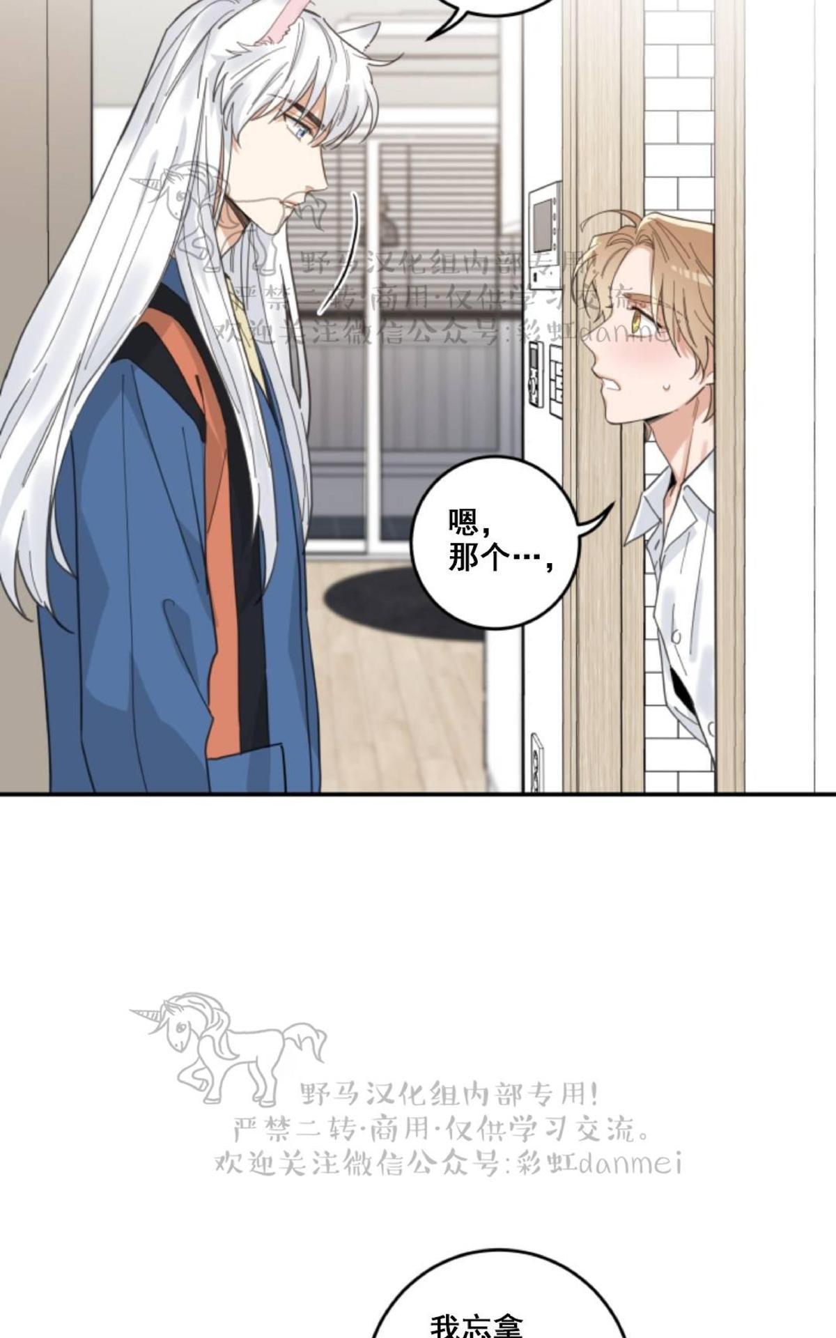 我的专属喵喵/我的专属猫咪漫画,第11话5图
