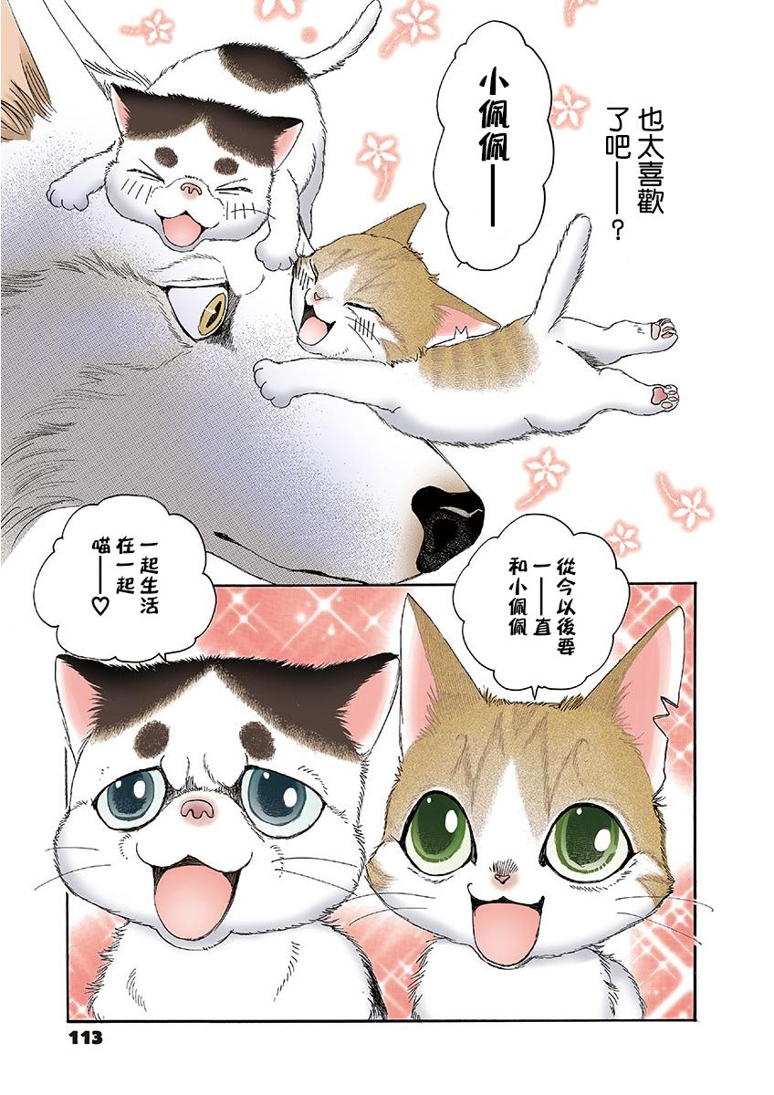 我家狗子捡到了两只奶猫漫画,第13话5图