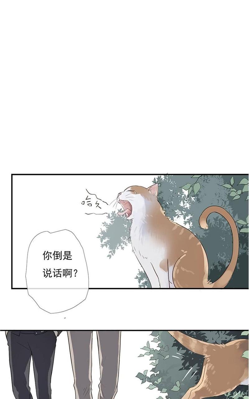 曲折少年漫画,第3话3图