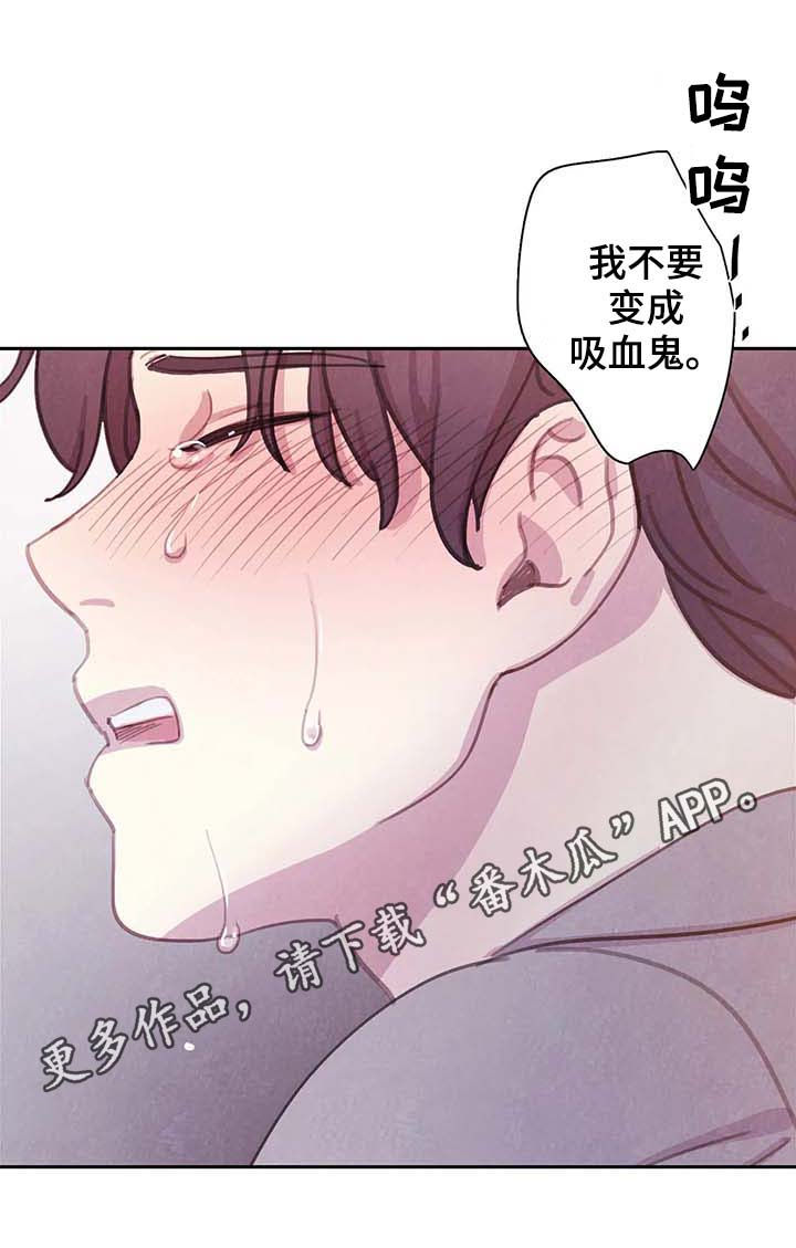 与血族共生漫画在哪看漫画,第51章：更加的绝望（第一季完结）1图