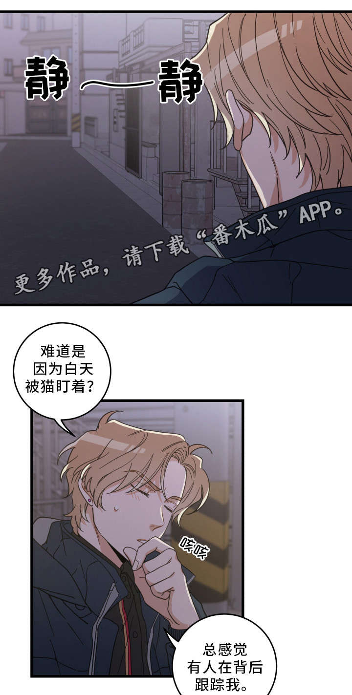 亲爱的喵君漫画,第36章：跟踪3图