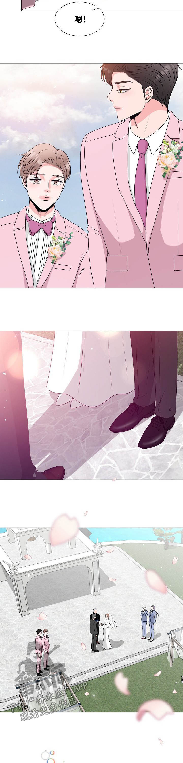 猫猫初体验漫画,第43章：最后的爱情（完结）4图
