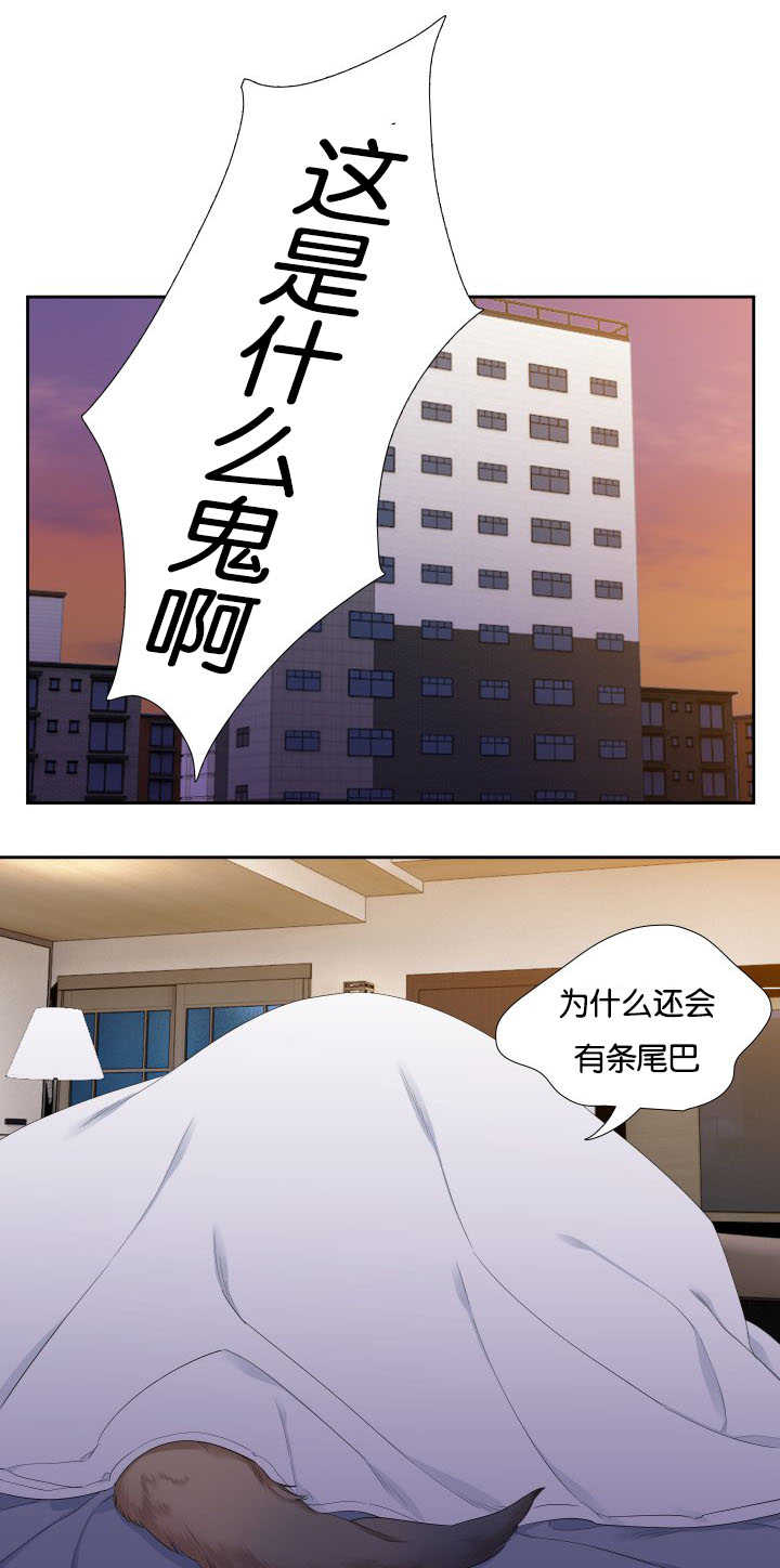 狼的香气漫画,第31章：随心所欲4图