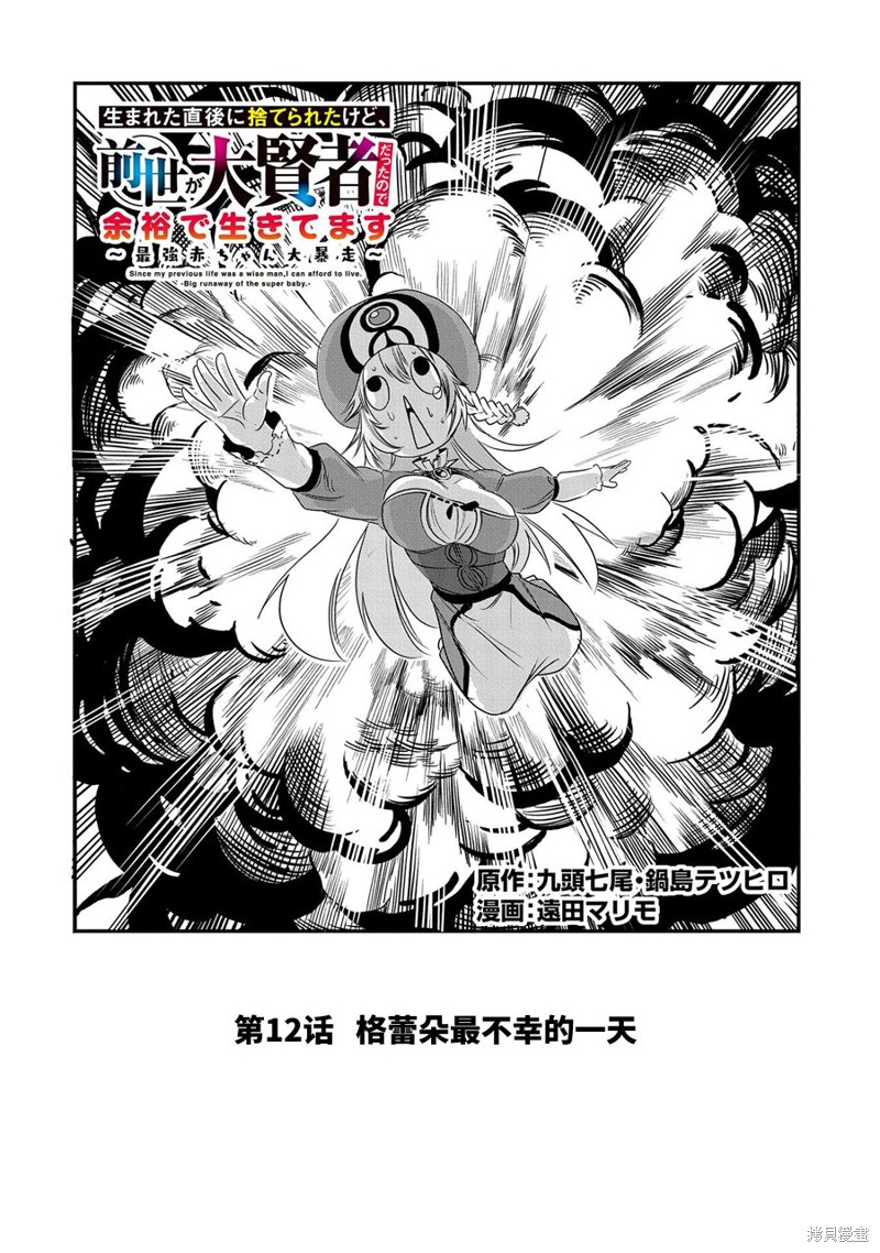虽然刚出生就被抛弃了，可毕竟前世是大贤者，就淡定地活下去吧漫画,第12话2图