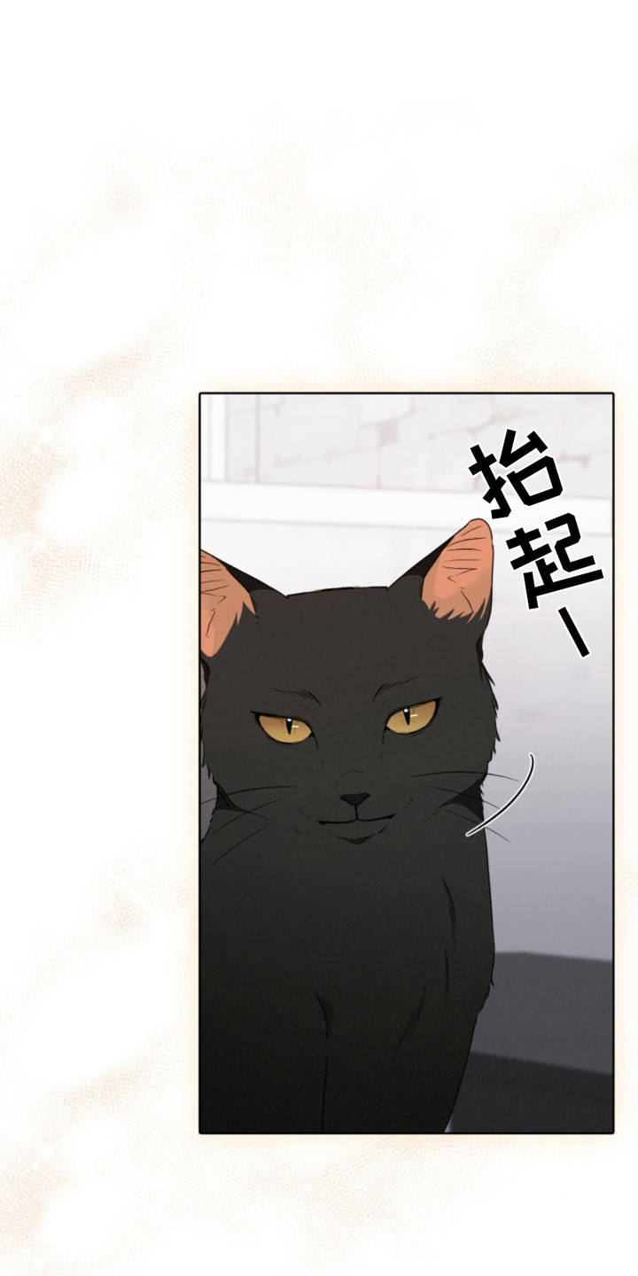 猎狐行动漫画,第21话1图