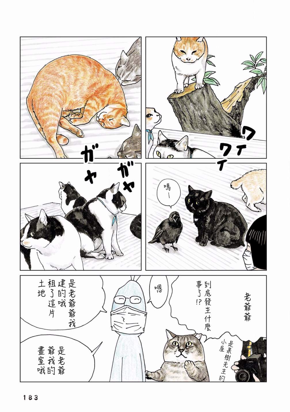 俺、对马漫画,第133话5图