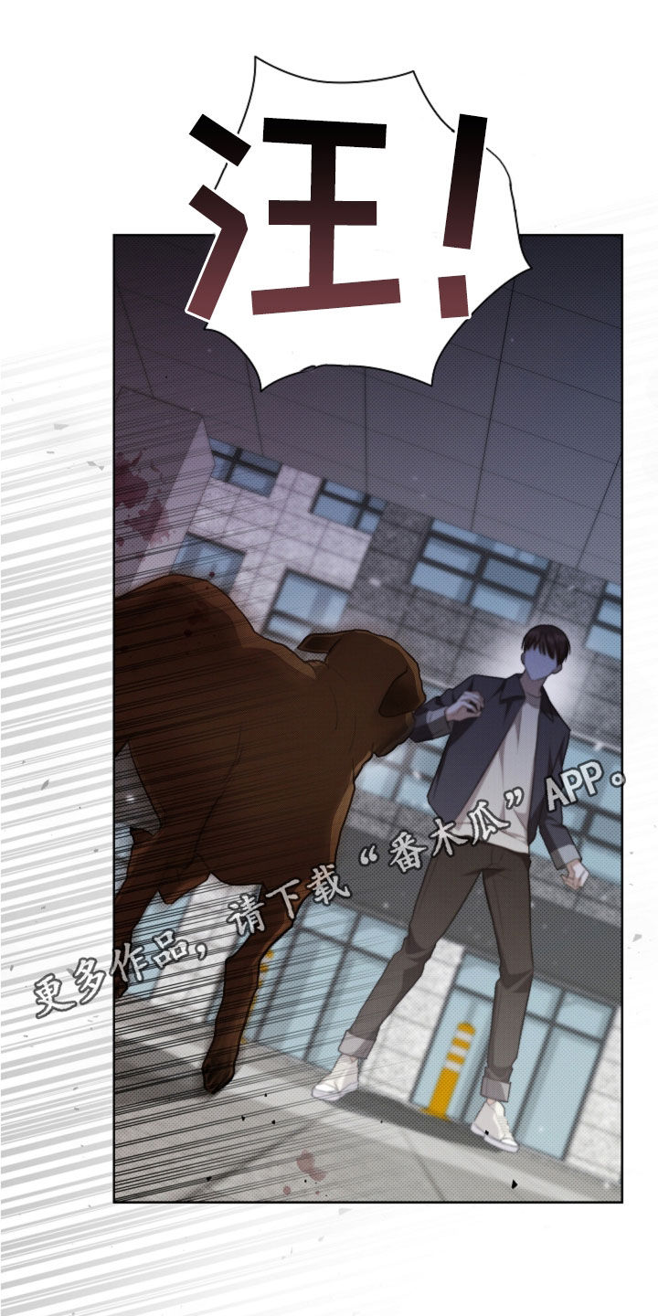 小白狗奇遇记香香叫什么漫画,第57话1图