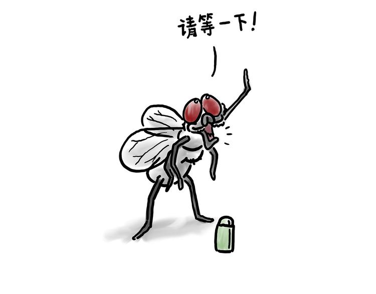 绘心绘意是什么意思漫画,拖马师4图