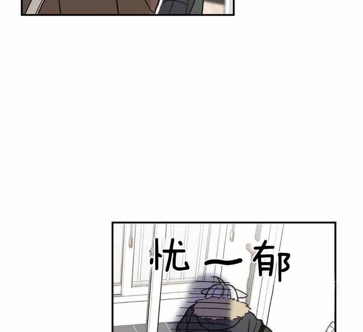 我唯一的猫猫漫画,第49话4图
